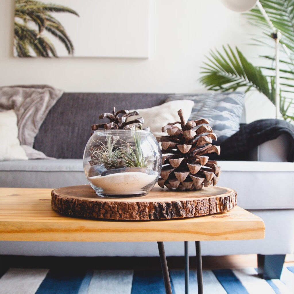 Biophilic Design: Bringing the Outdoors In